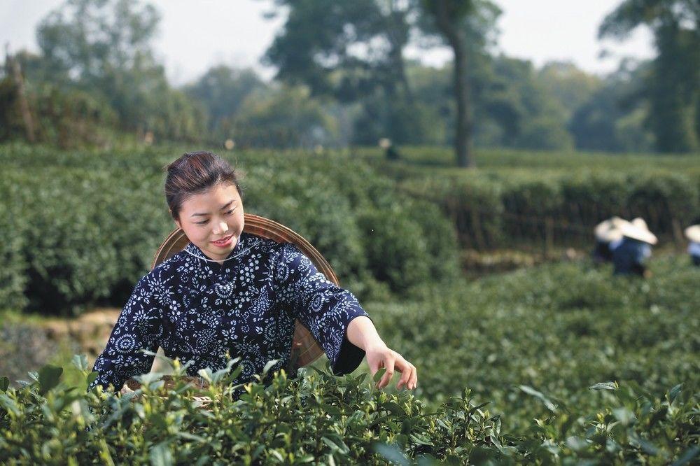 Landison Longjing Resort Hangzhou Exterior foto